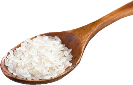 쌀숟가락